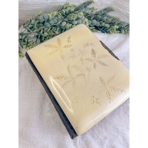 Antique Victorian Celluloid with Velvet Photograph Album - Picture 4 of 9